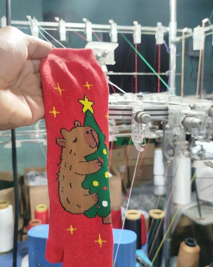 Meia de Natal com capivara recém-saída da máquina